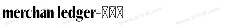 merchan ledger字体转换